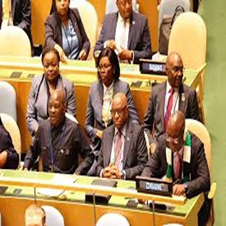 Zimbabwe un security council role