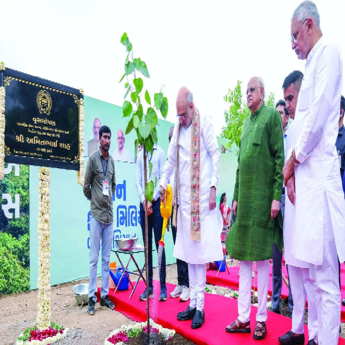 Tree plantation ahmedabad sets guinness record