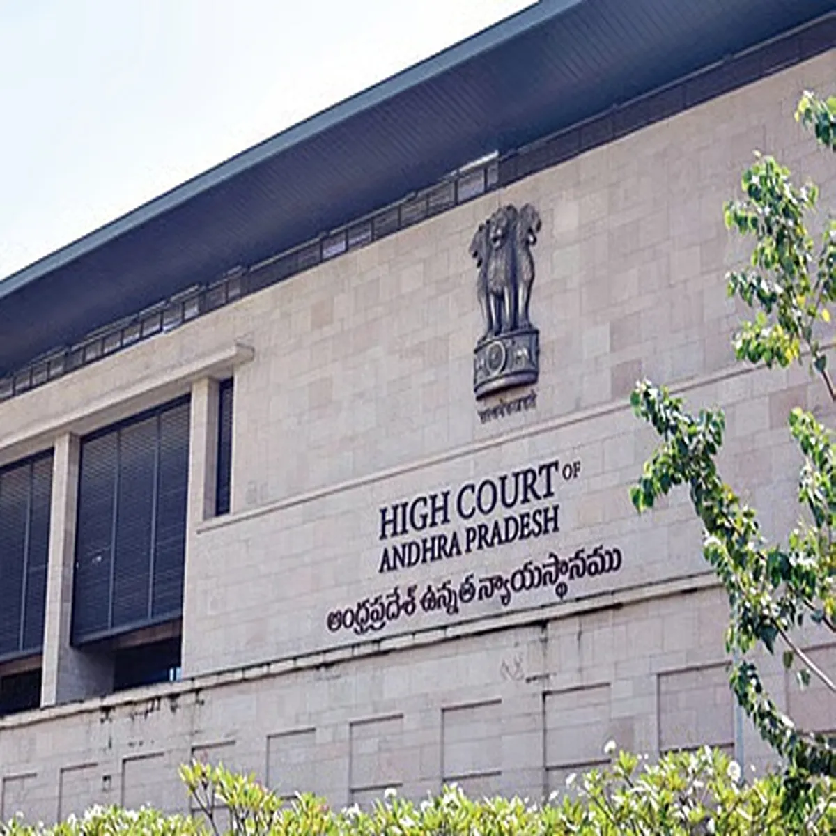 Liquor tenders andhra pradesh high court