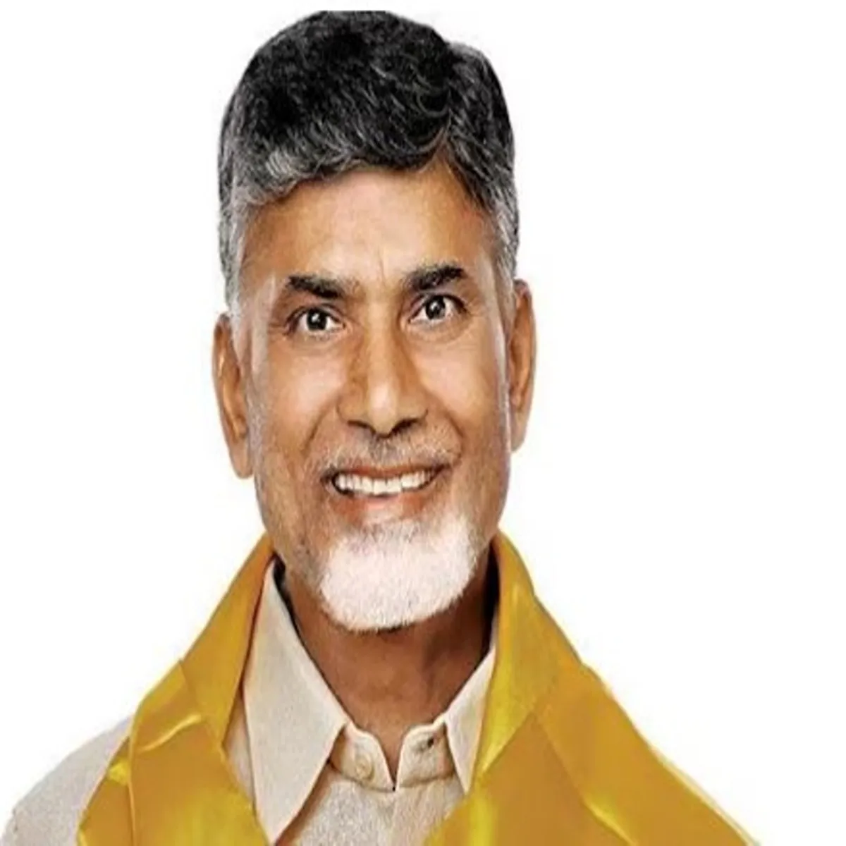 Andhra pradesh naidu alleges online campaign