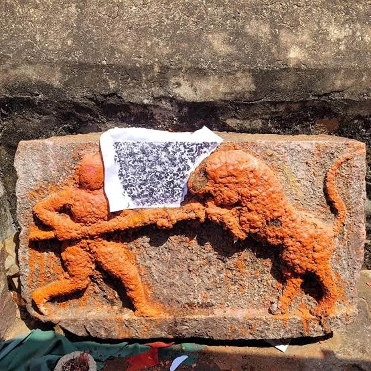Archaeology asi finds telugu inscriptions nallamala