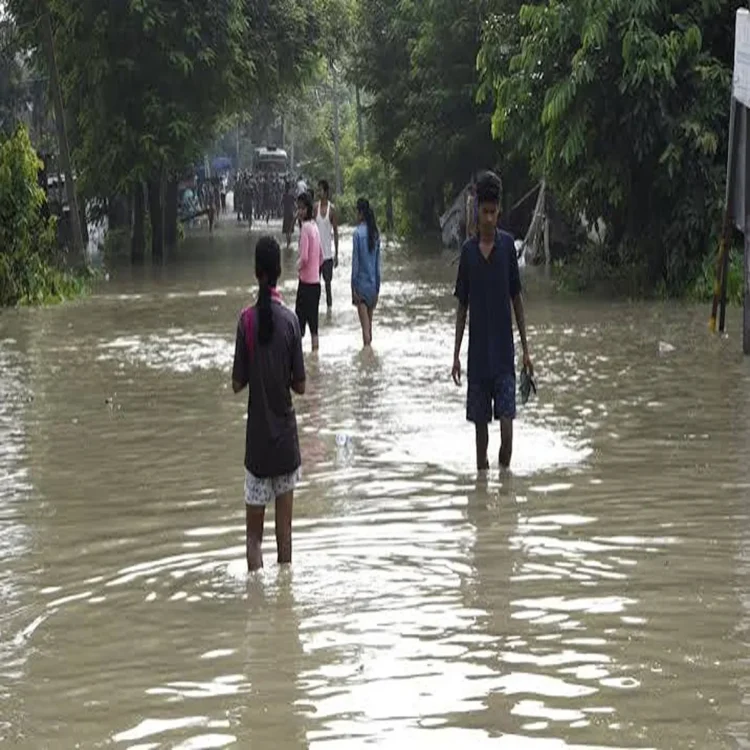 Assam flood nepalikuti recovery crisis