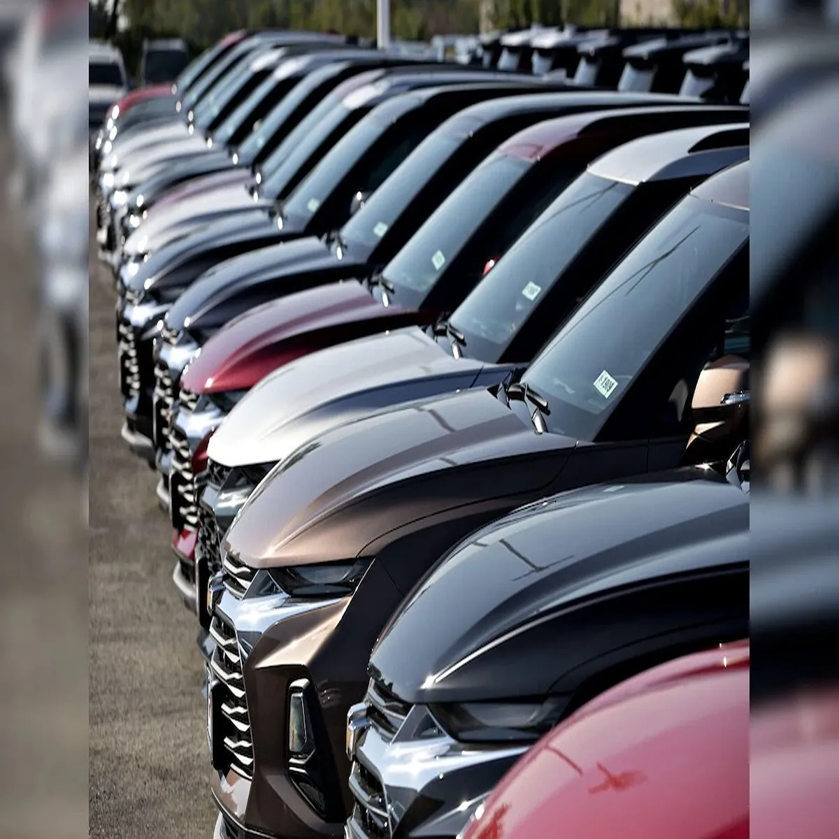 Automobile domestic vehicle sales expected maintain