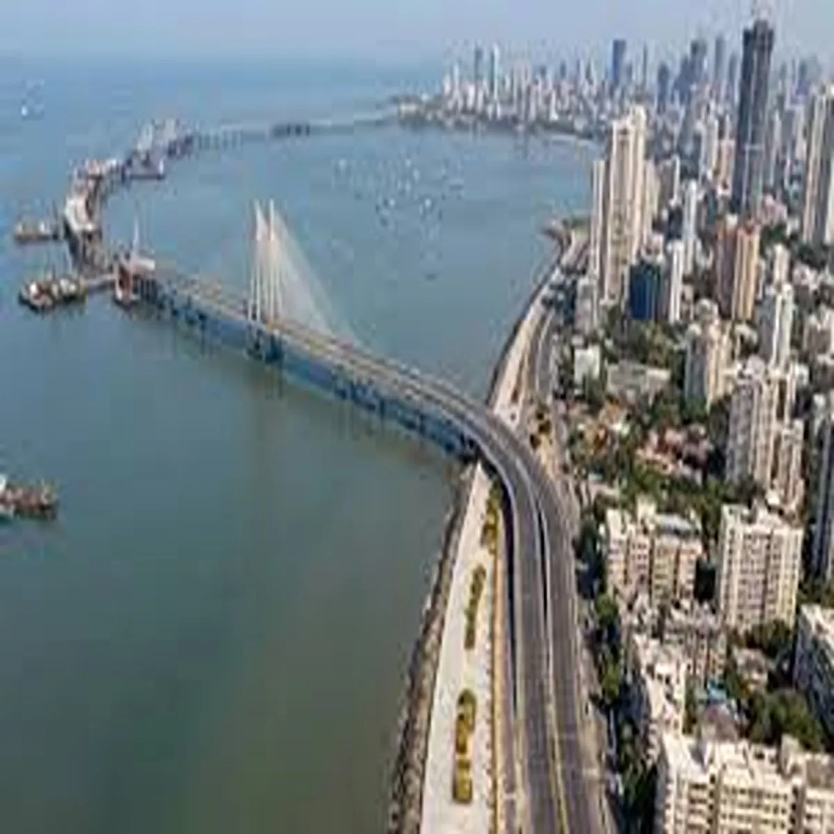 Bmc occupation certificate amnesty scheme offers