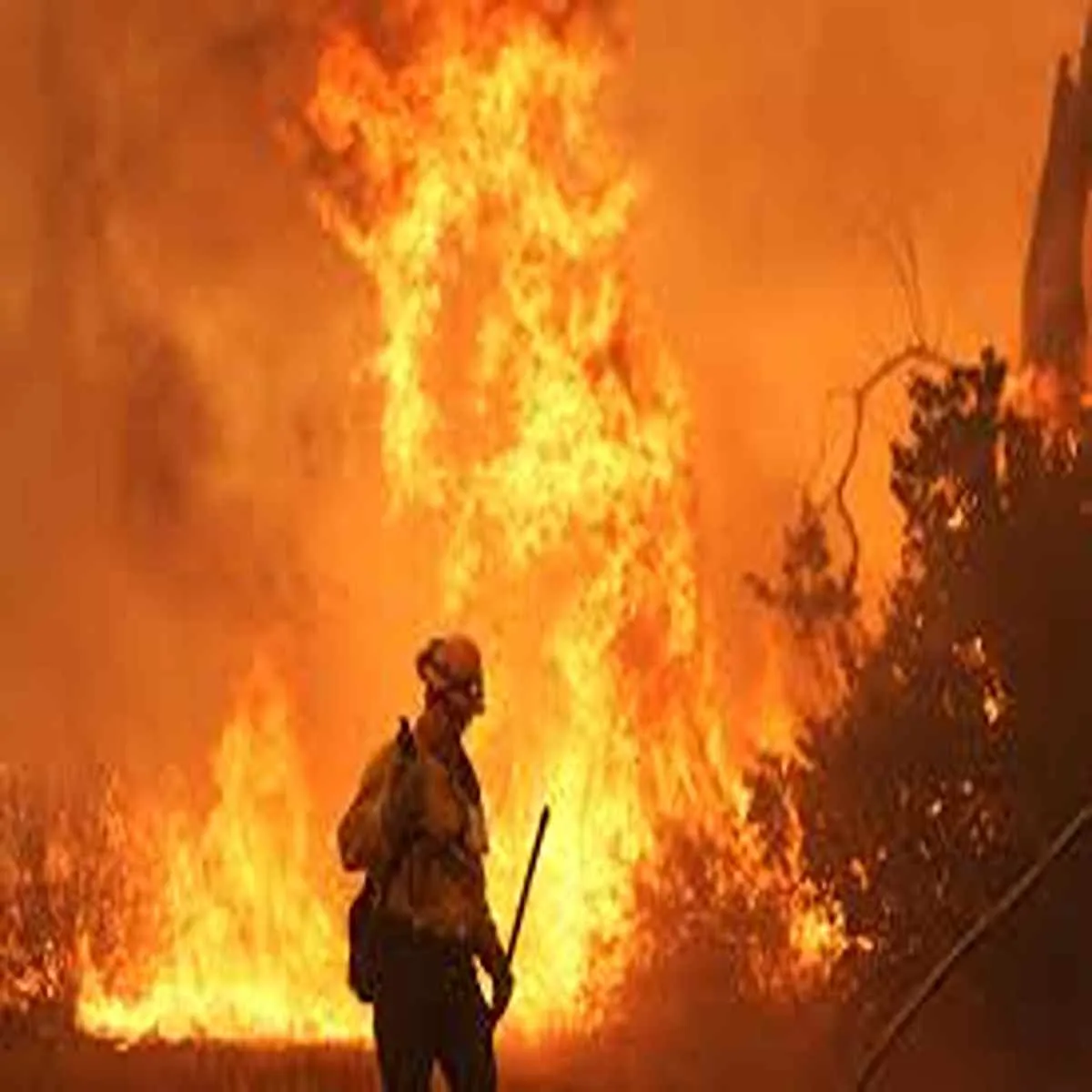 Wildfire catalonia blaze forces evacuations firefighters