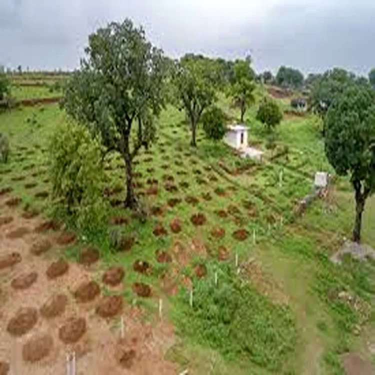 Centre approves sacred groves conservation scheme