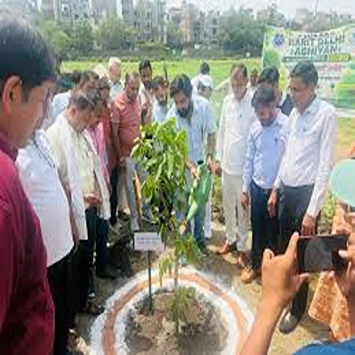Plantation delhi development authority nears one