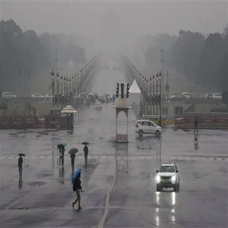 Delhi moderate rainfall eases humidity