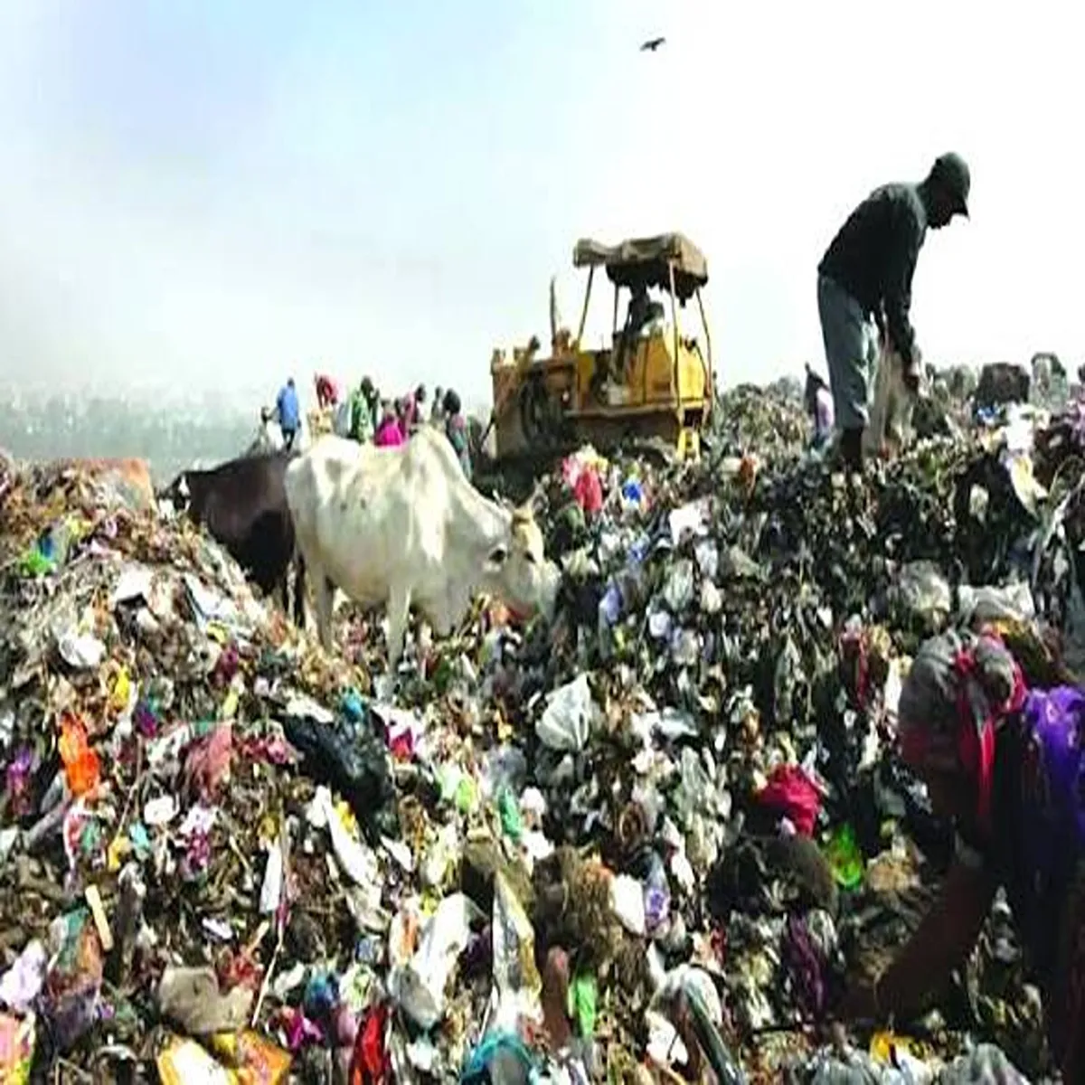 Waste management delhi plans major expansion