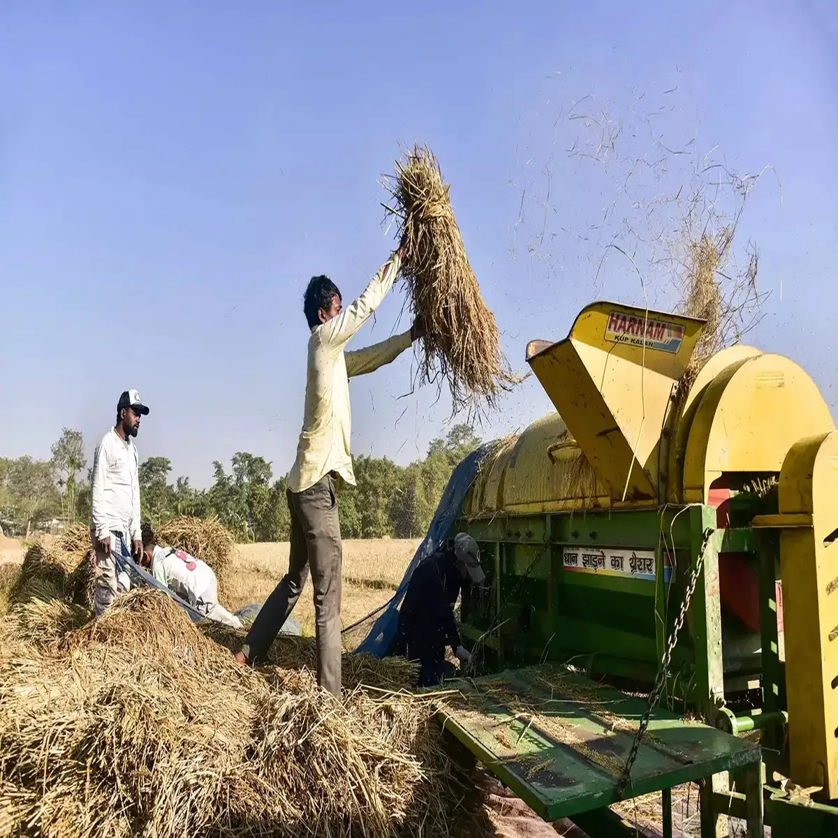 Paddy procurement delta farmers seek faster