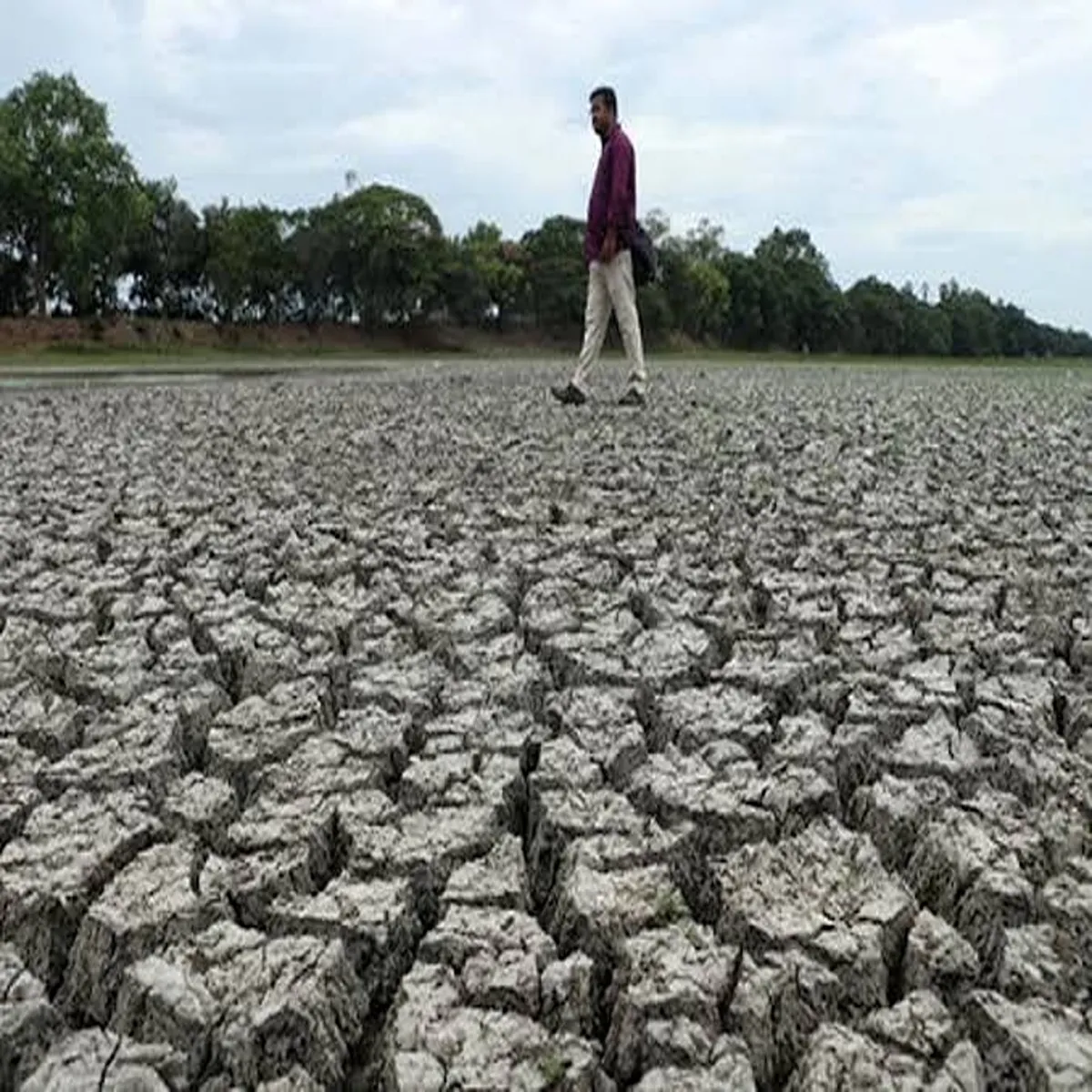 Nino study examines cloud brightening reduce