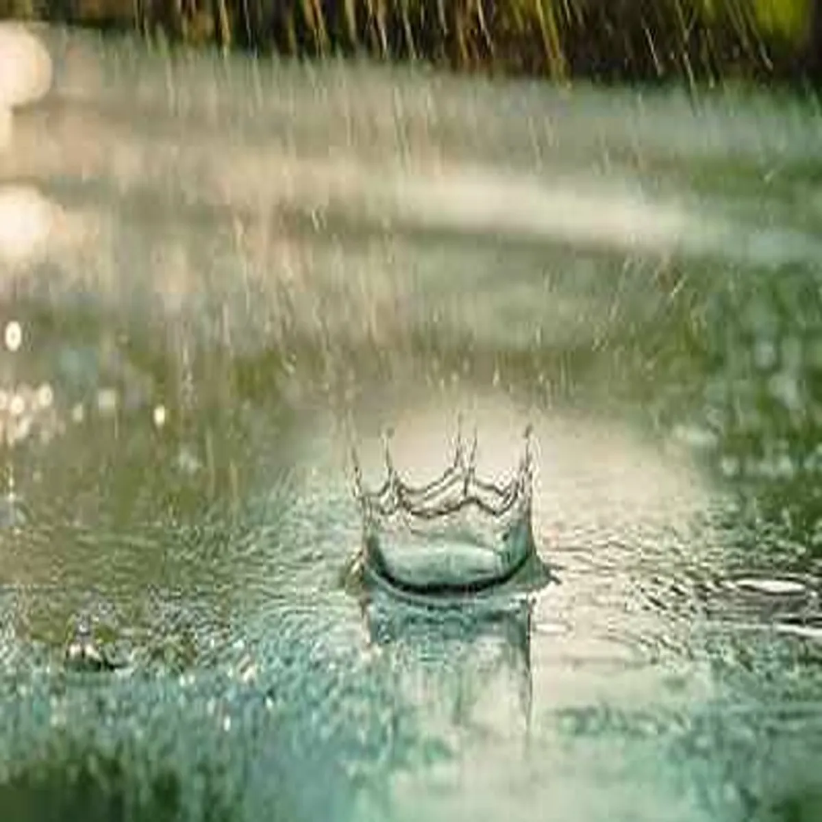 Flash flood alert imd warns heavy