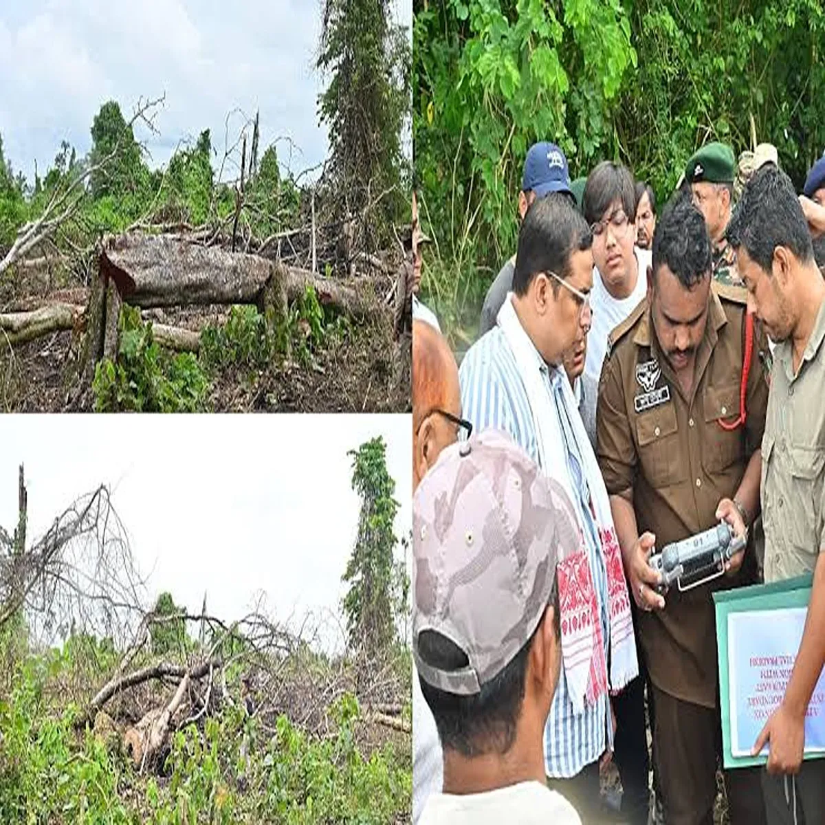 Forest assam strengthens protection drive after