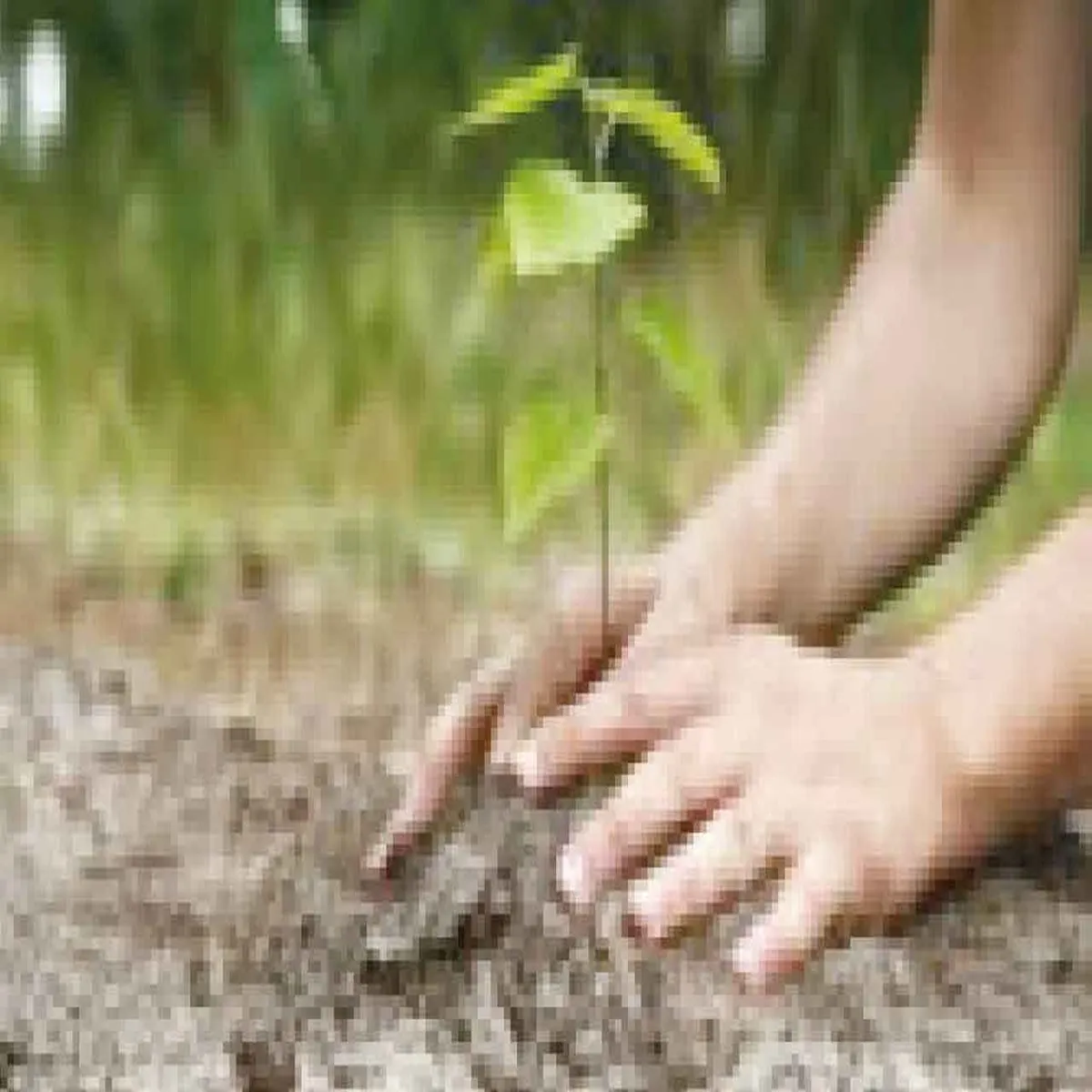 Green drive delhi launches portal support