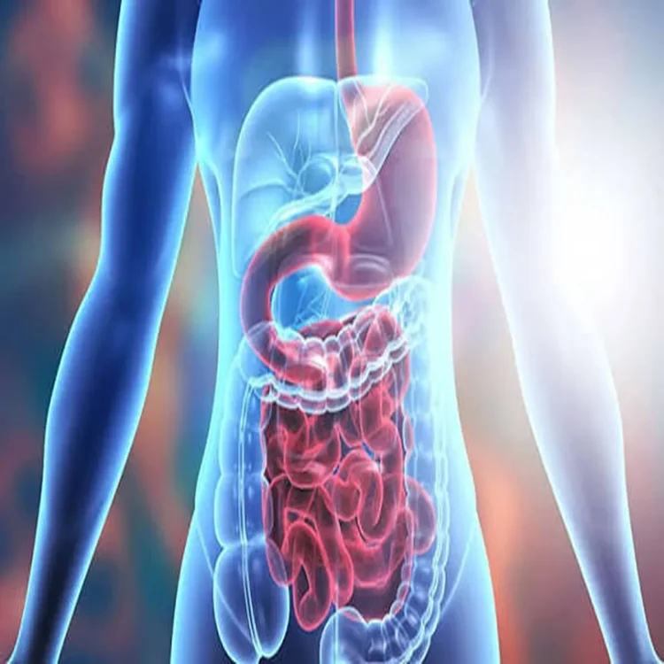 Health news englishurl slug