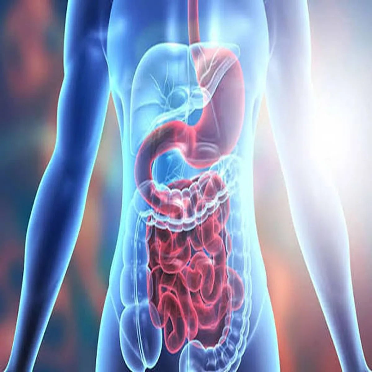 Digestivehealth doctors warn against these three