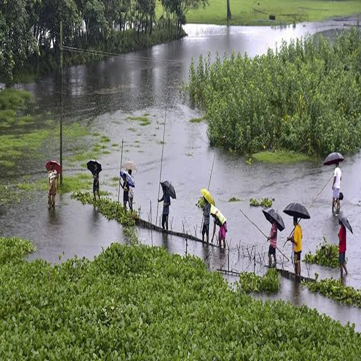 Floods assam flood situation impacts thousands