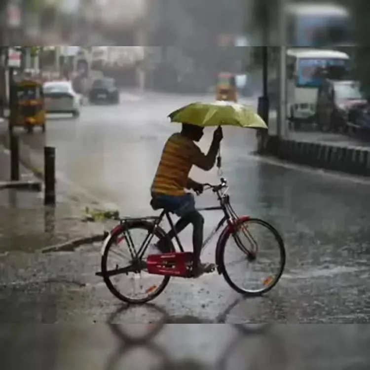 Imd heavy rain thunderstorm alert india