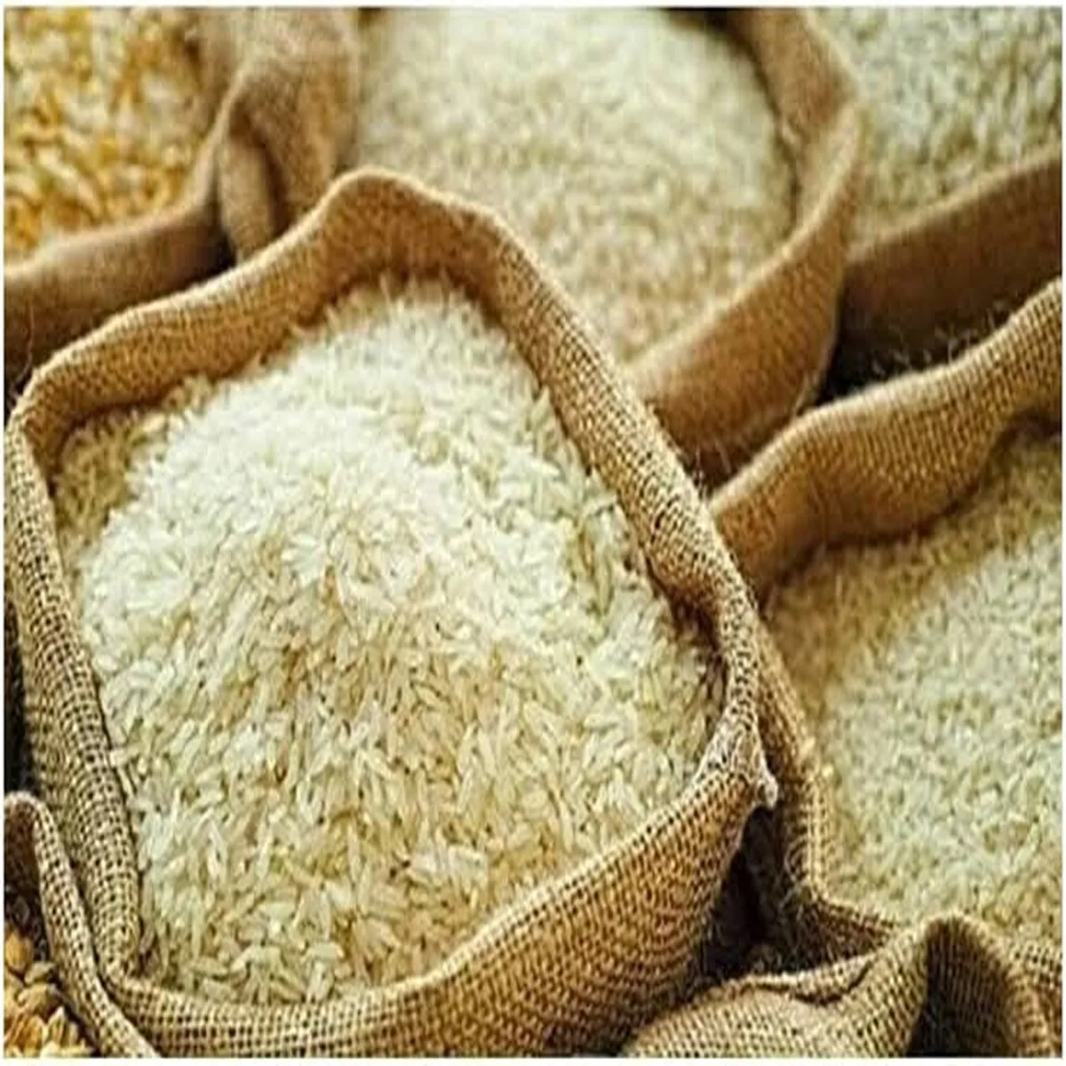 Riceexports shipping disruptions put india basmati
