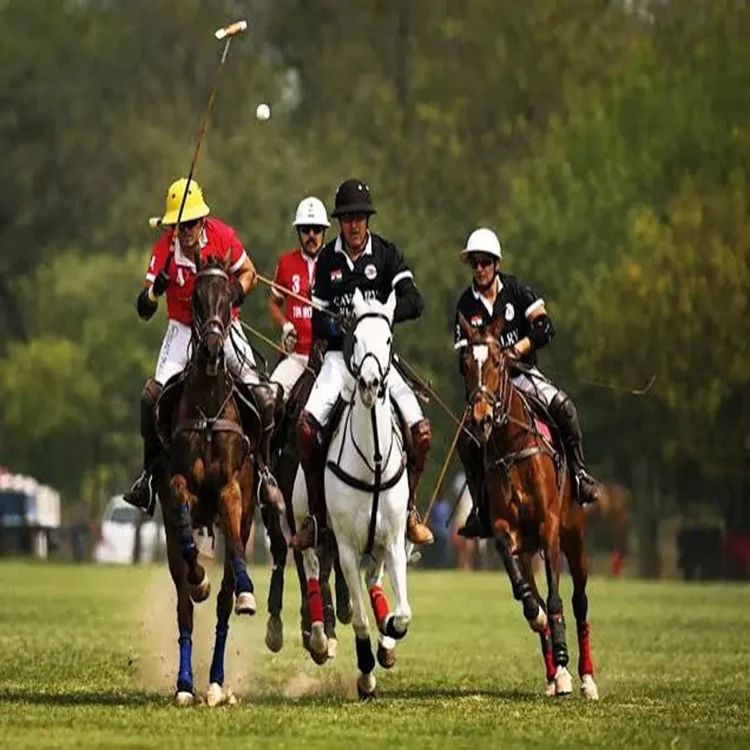 Jaipur polo ground status quo hearing