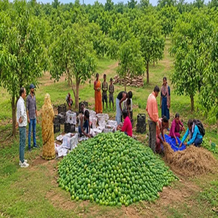 Jharkhand mango exports ai governance plan