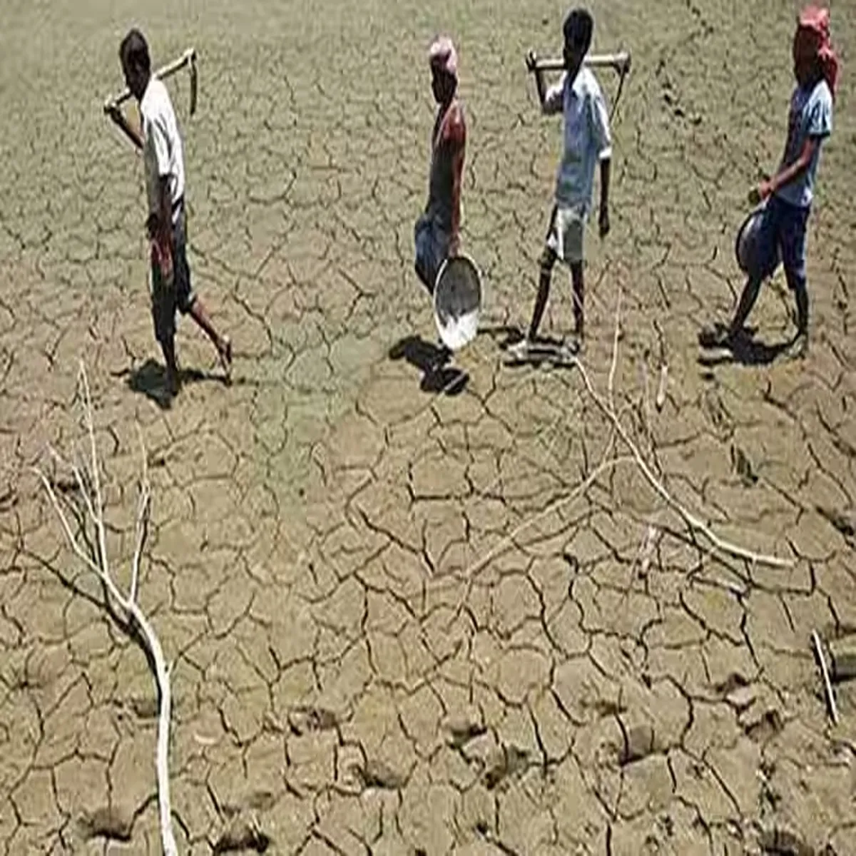 Karnataka drought karnataka seeks national disaster