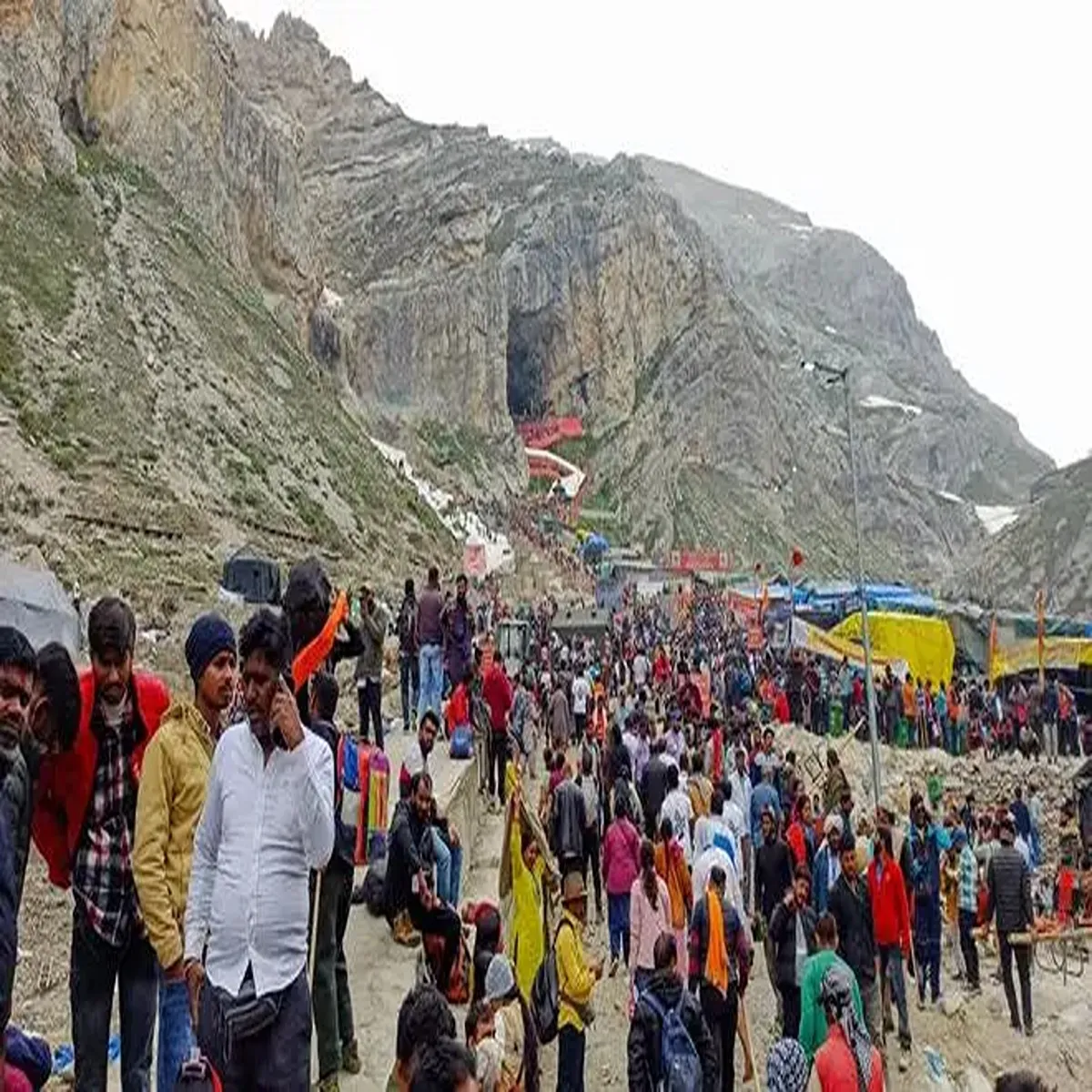 Kashmirtourism forest protection measures tightened popular