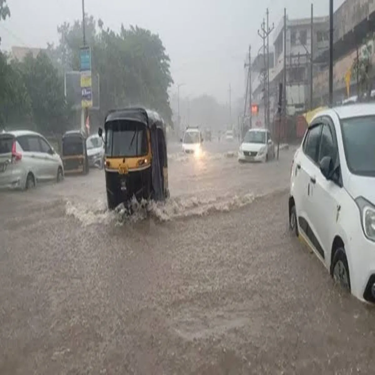 Rainfall maharashtra braces intense downpour imd