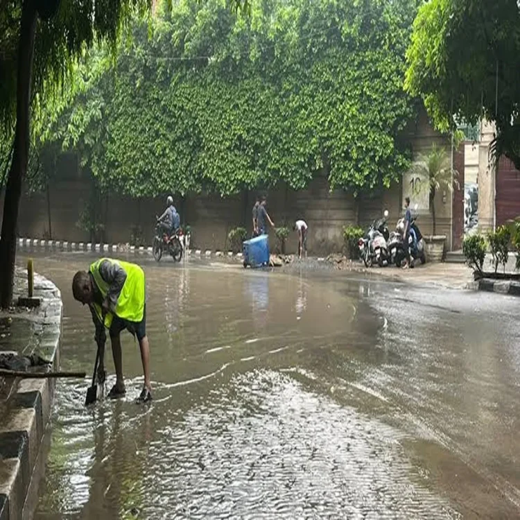 Mcd sanitation workers record verification drive