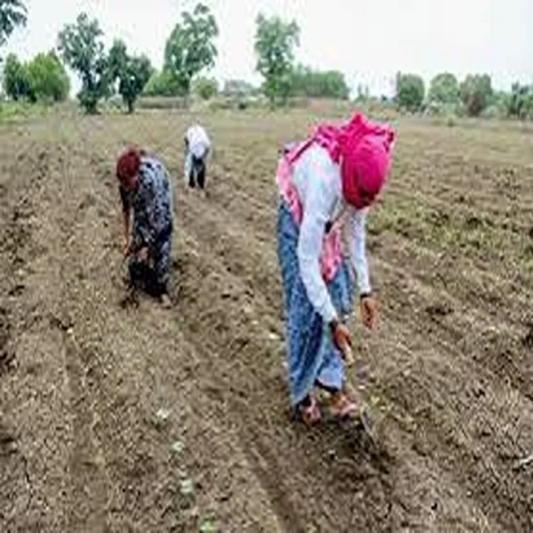Monsoon flood response kharif sowing delays