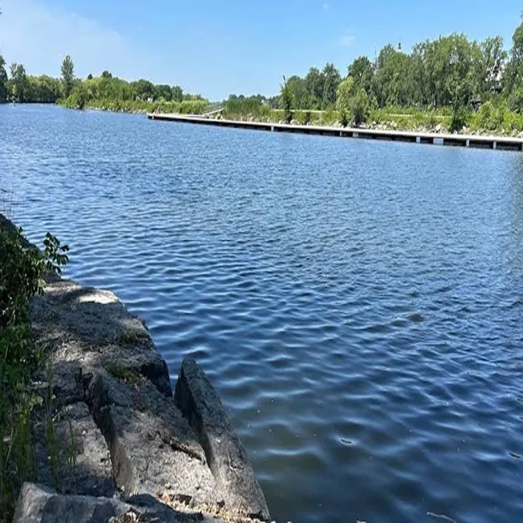 Montreal drowning punjab youths lachine canal rescue