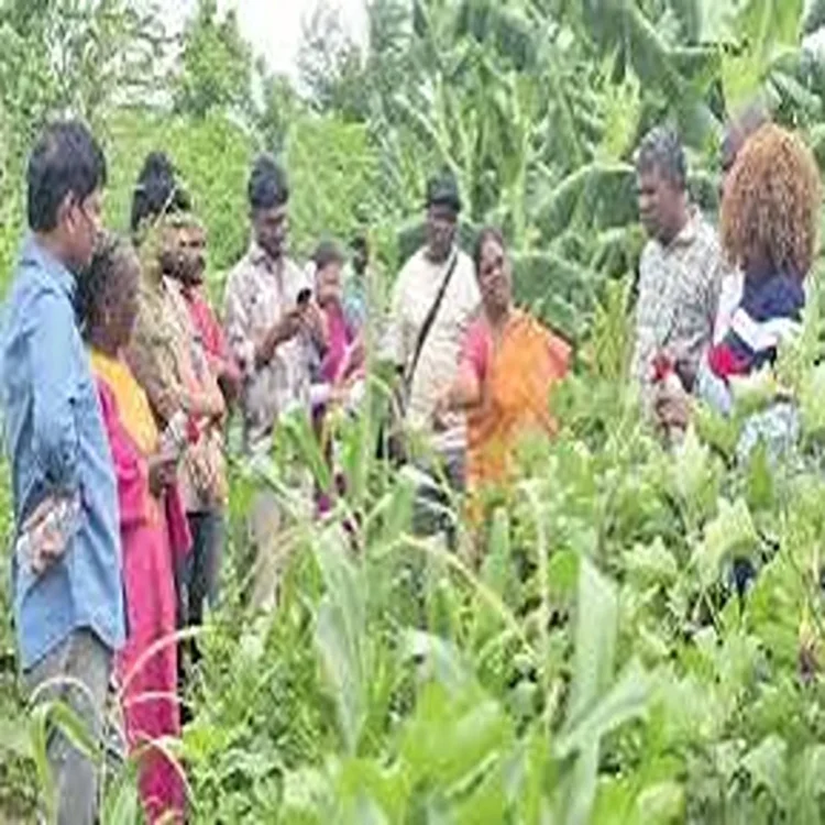Natural farming guntur school model