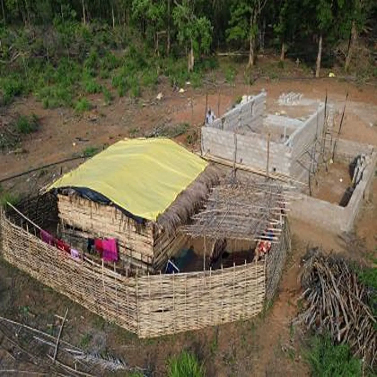 Naxalism bastar families return home housing
