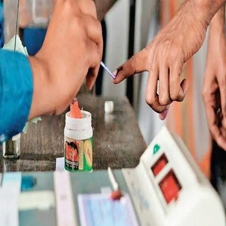 Nellore local body elections 2029 polls