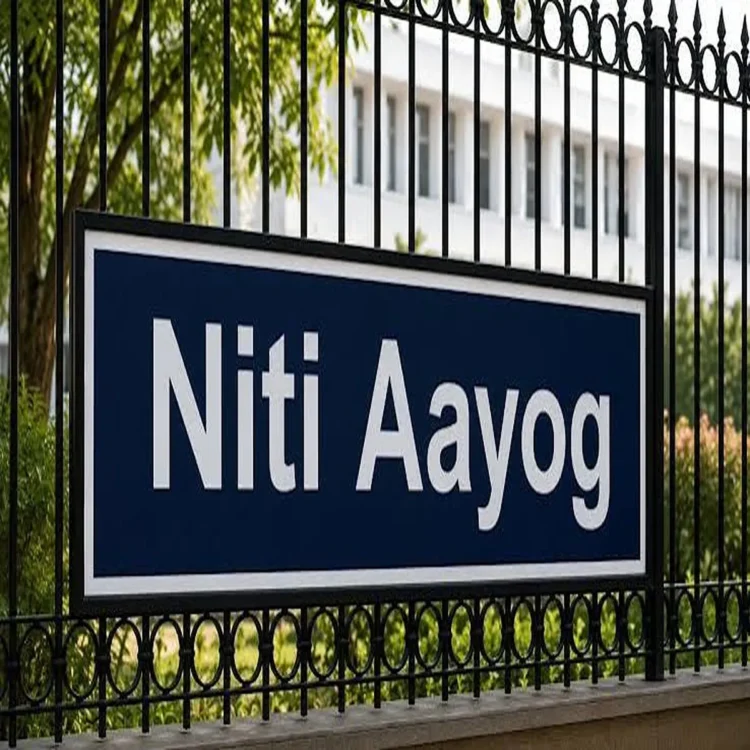 Niti aayog tourism visa reforms india