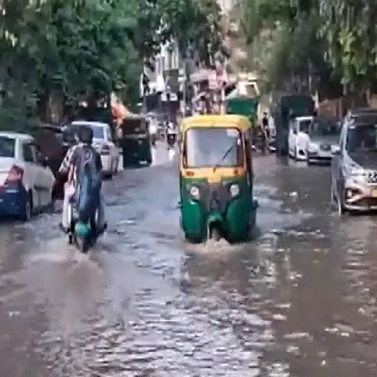 Noida rain heavy overnight downpour leaves