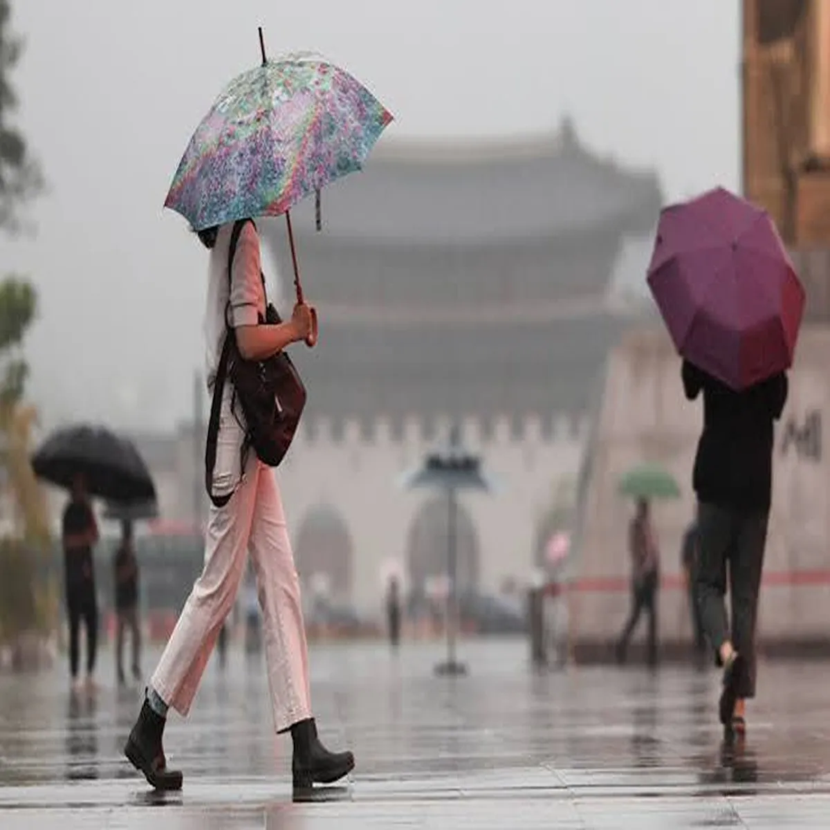 Weather north korea issues high alert