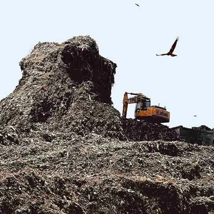 Okhla landfill green cover reclaimed waste site