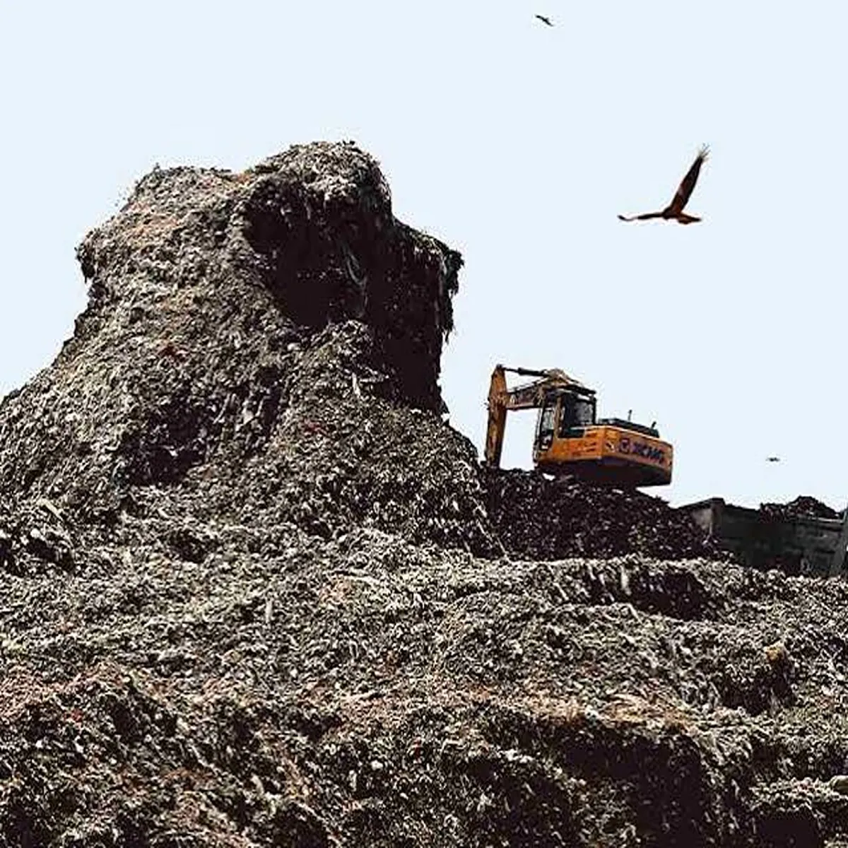 Okhla landfill mcd plans green cover