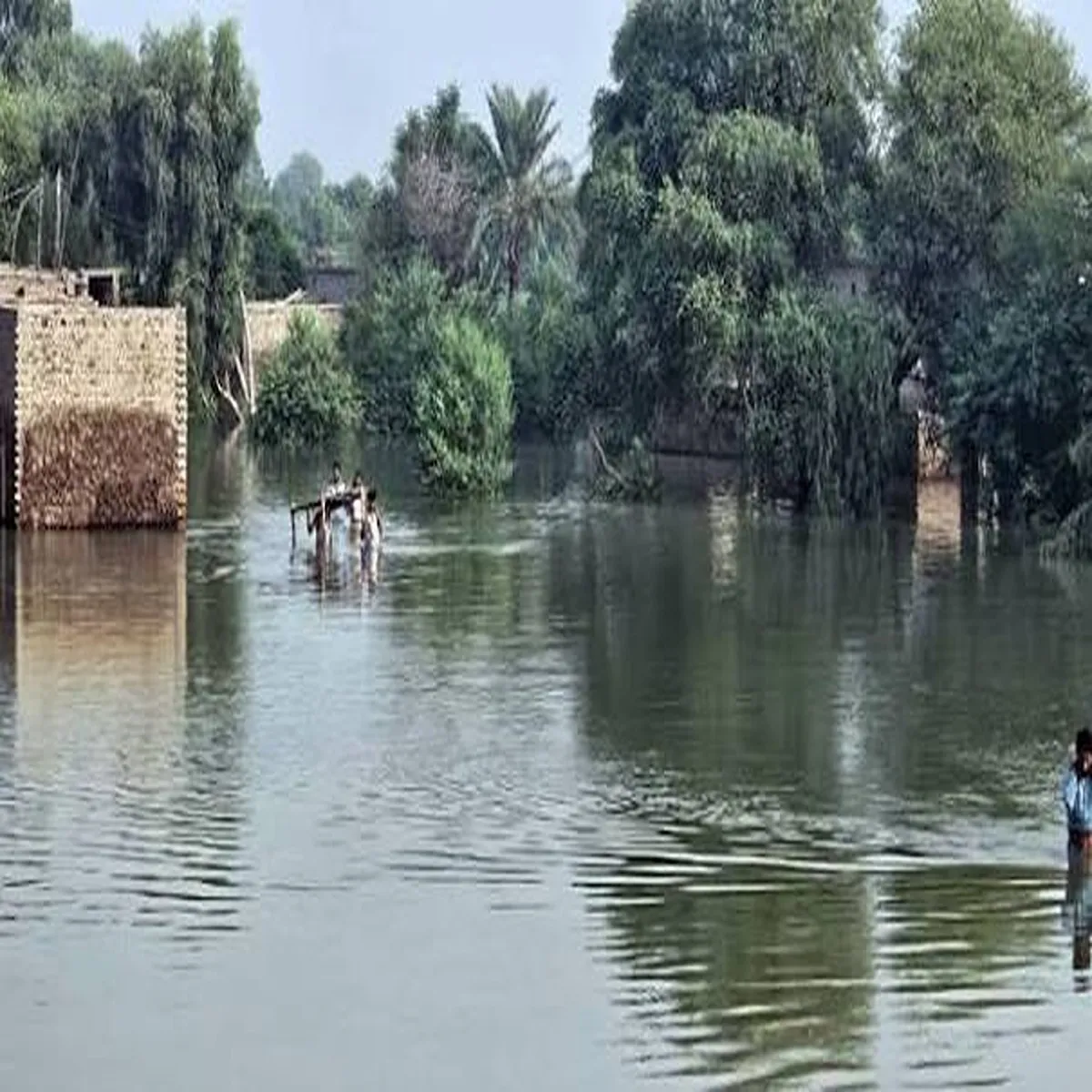 Floods heavy rains leave dozens dead