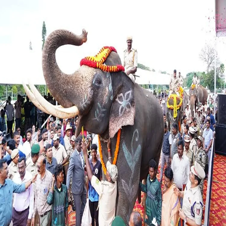 Pawan kalyan kumki elephants conflict