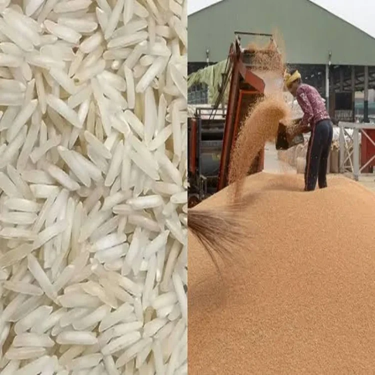 Punjab omss rice eauction exclusion clarification
