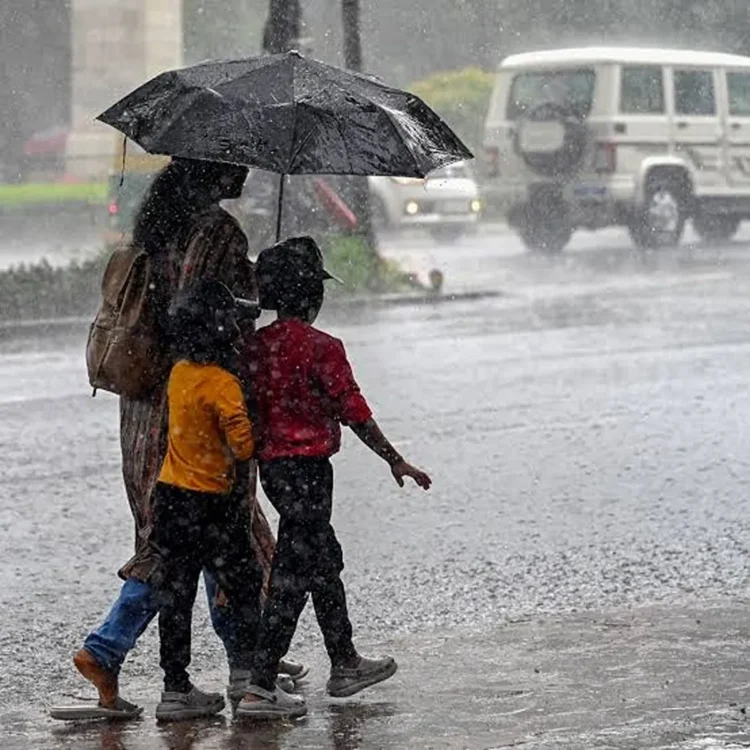 Rainfall panvel schools closed raigad alert
