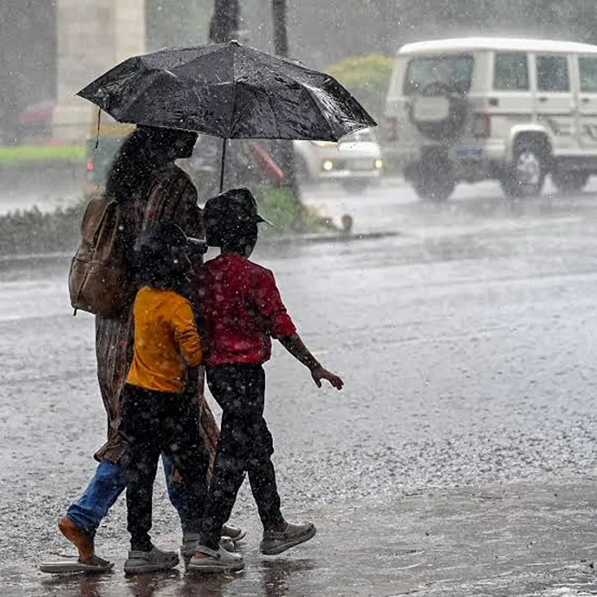 Rainfall panvel shuts educational institutions raigad