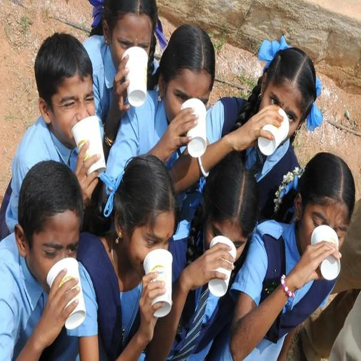 Milk powder government school milk supply