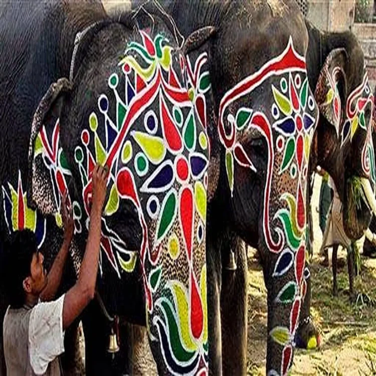 Rath yatra elephant art ahmedabad