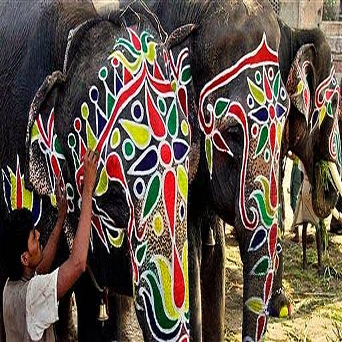 Rath yatra young artist elephant paintings