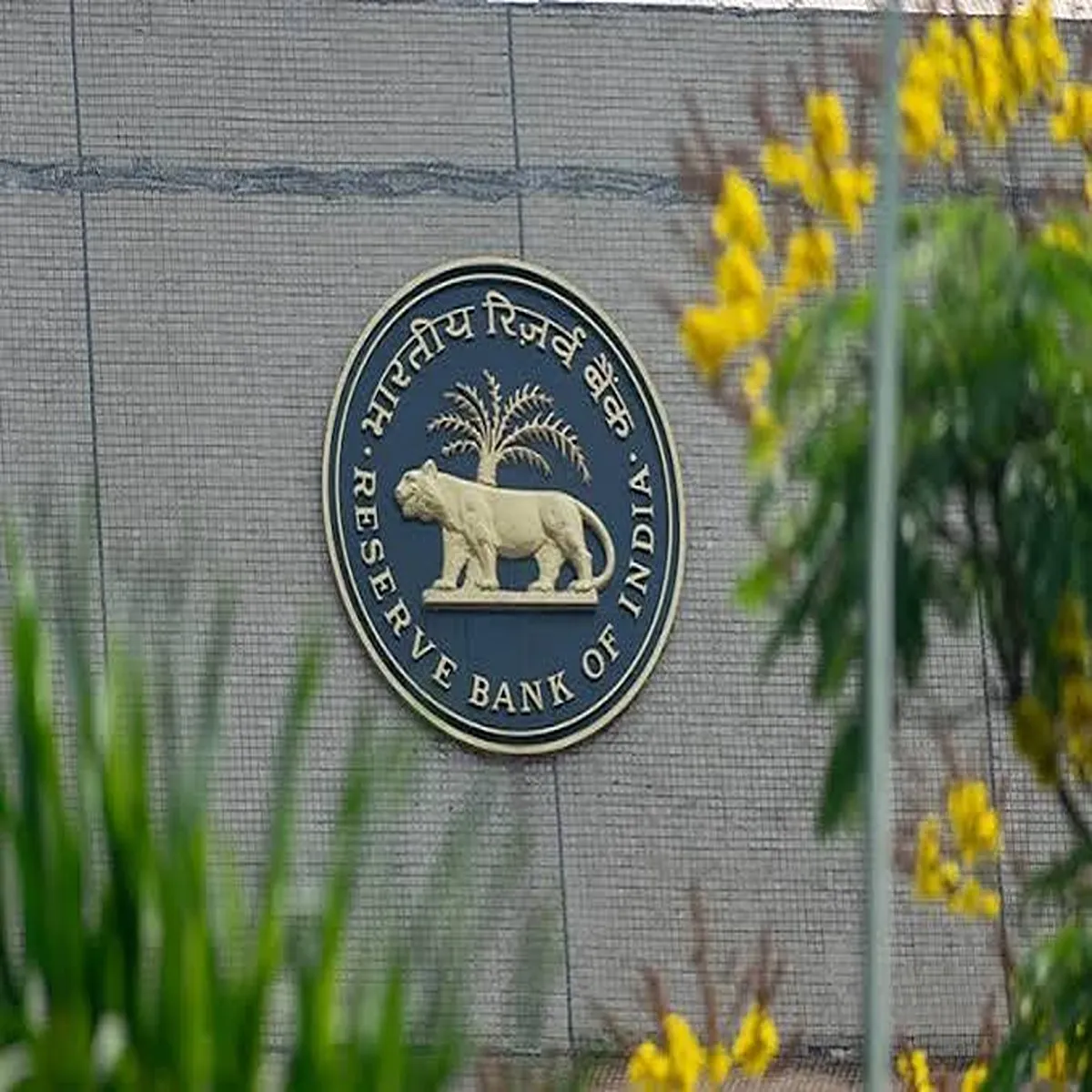 Banking rbi deputy governor calls stronger
