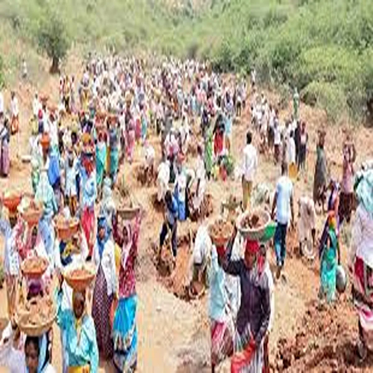 Rural employment higher job guarantee raises