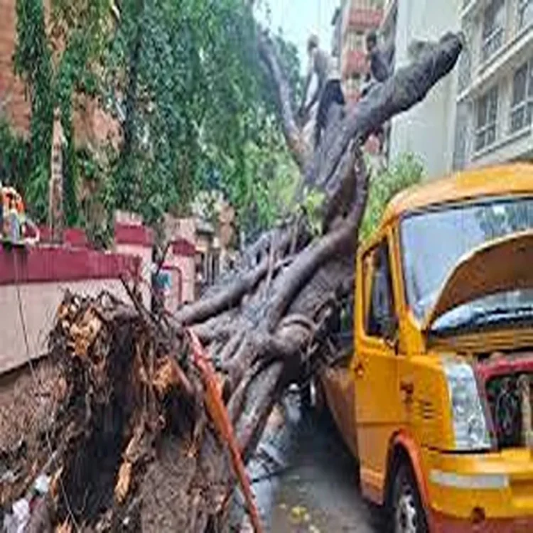 School bus chembur tree collapse probe